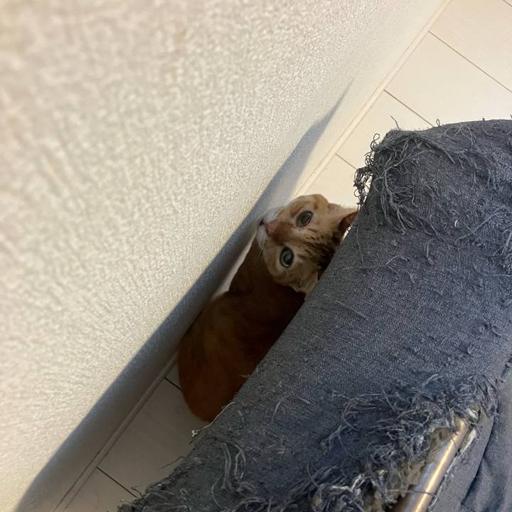 2c732637 69e9 419b af99 242dbb6fc5f8 1768092505319