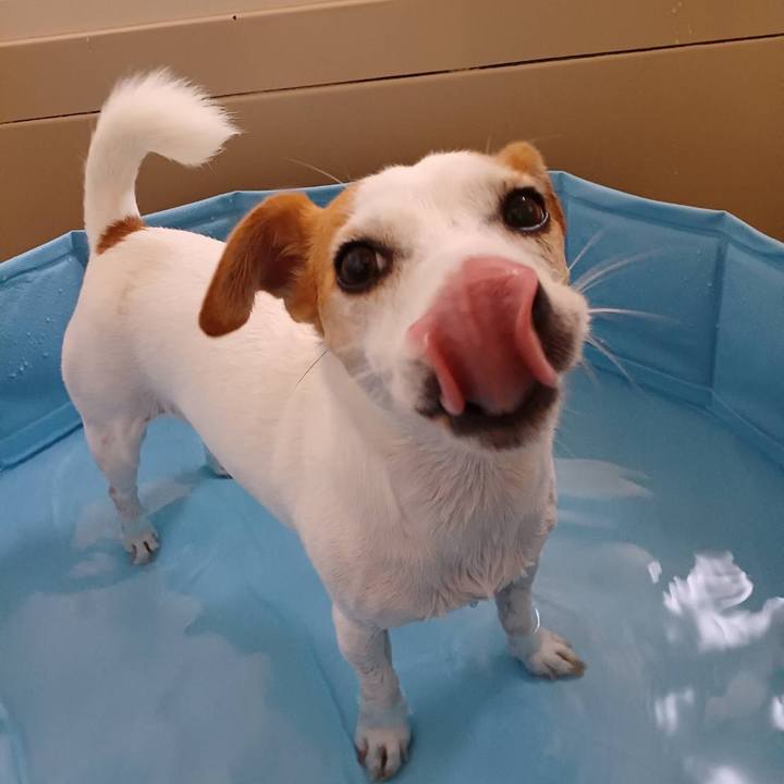 2c734527 fe7e 4694 ba12 fa0444bcec75 1660127162546