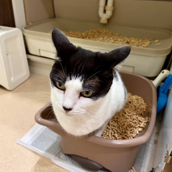 2c735d33 495a 461c 9b30 51a2fd803a39 1771636276820