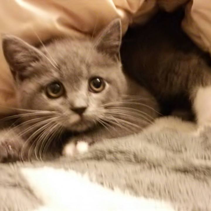 2c735f80 31b4 415d 8102 0abadfad4c7b 1530535853137