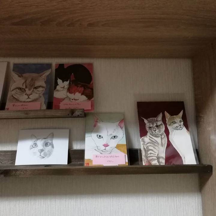 2c7393f6 d3a3 4ac0 ac6d f8256f0b674d 1544956248055