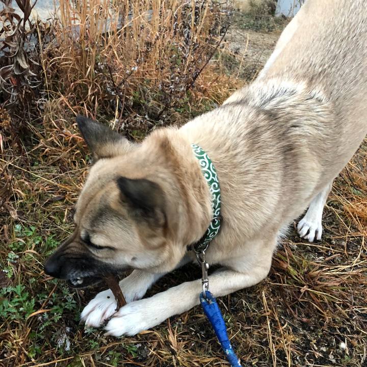 2c73f072 3cce 4ba8 aa2c 9fb34f30d758 1548904858825