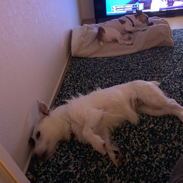 2c73f9d9 a06e 47f5 a836 6348e745e7d0 1564234922333