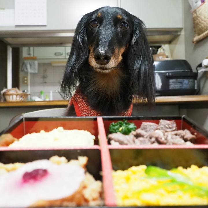 2c741e26 bb32 48c2 9715 0c6c3aafc5a1 1641017415726