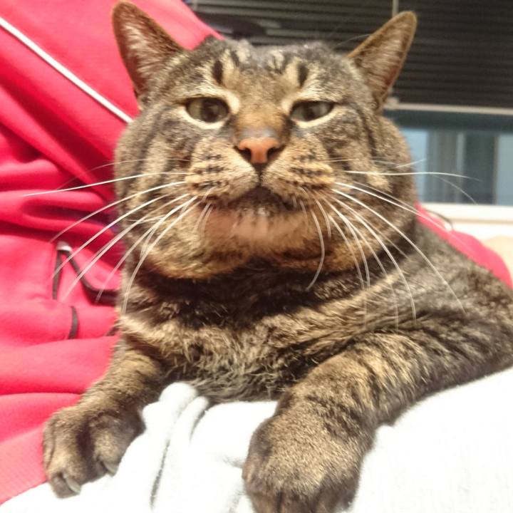 2c741fd9 020b 4ebe aca3 e0f8184eda2e 1517836658980