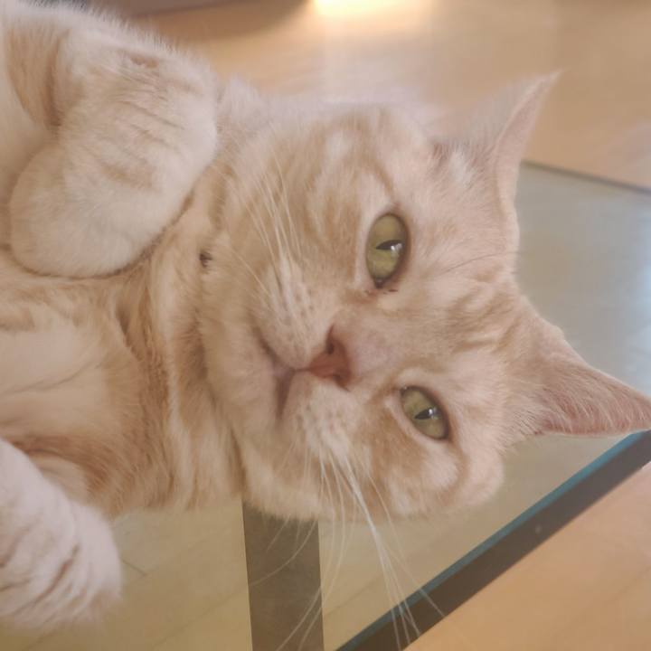 2c742737 c827 42c9 ba4f b39d5d542be3 1690446349420