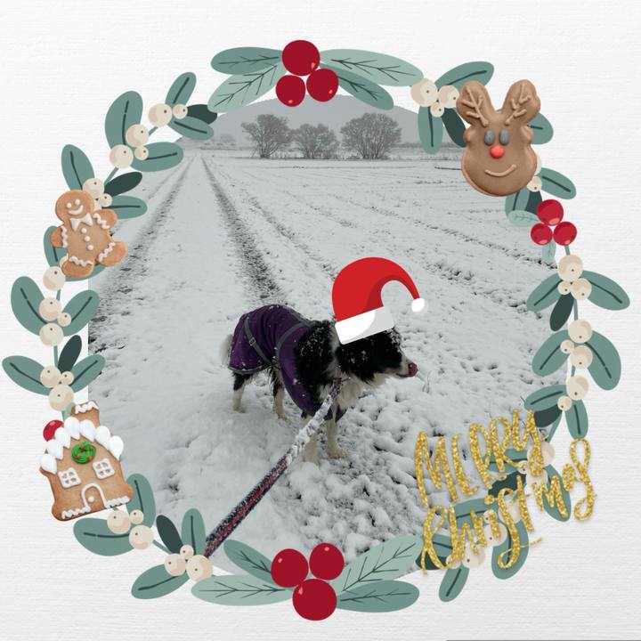 2c7432c5 efa3 464c 8646 b97e63c4a42d 1735030354361