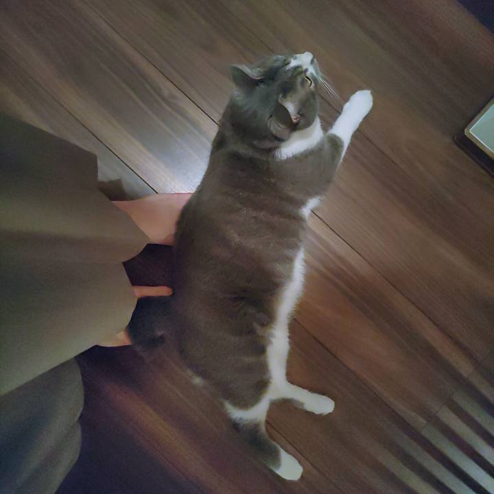 2c74517a fd28 4678 9c19 90ececa53a09 1653565736067