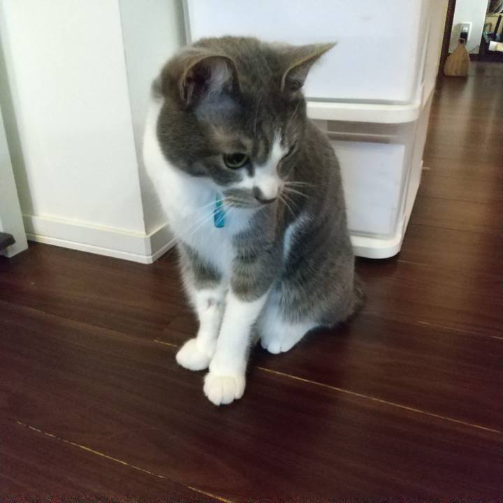 2c7485fd 92b7 4473 bb45 809ab2c98838 1648117417348