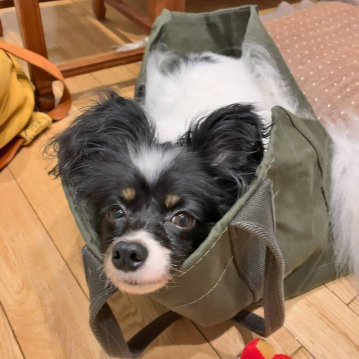 2c74b041 be6a 4091 8a7f f97d64ba2121 1570194418003