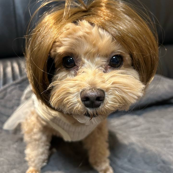 2c74d194 b711 4466 b4b8 2d94b6af3ac6 1736261826510