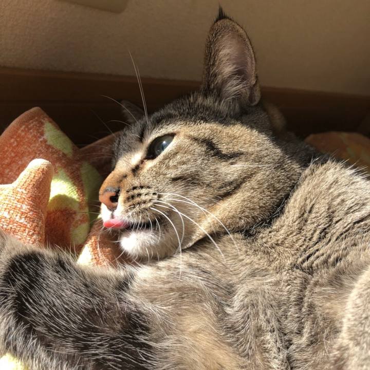 2c750b22 b3af 45ba b2a9 6a17c803b18c 1515115895693