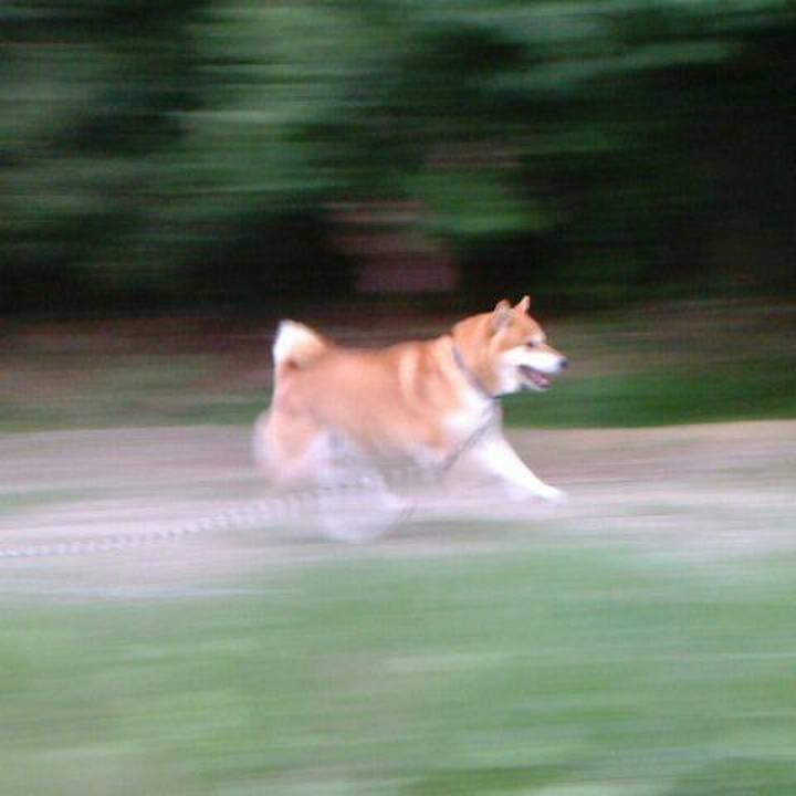 2c75309e 155f 4f96 9e7b 0638f53b860c 1533554124893