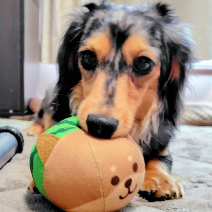 2c753c82 de07 4ab9 bf7d f4e268164d17 1748753114333