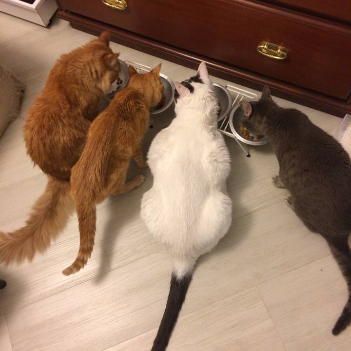 2c754f8b 8d19 41b7 99bc 6fddfe353aa8 1538575522374