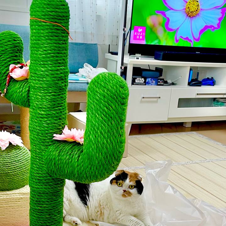 2c75551d 8a5d 4027 98b7 9bab887c4e12 1655330074393