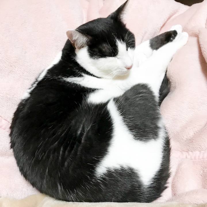 2c7556eb cf38 4ee4 b87b c7ba9e9d473a 1512262818636