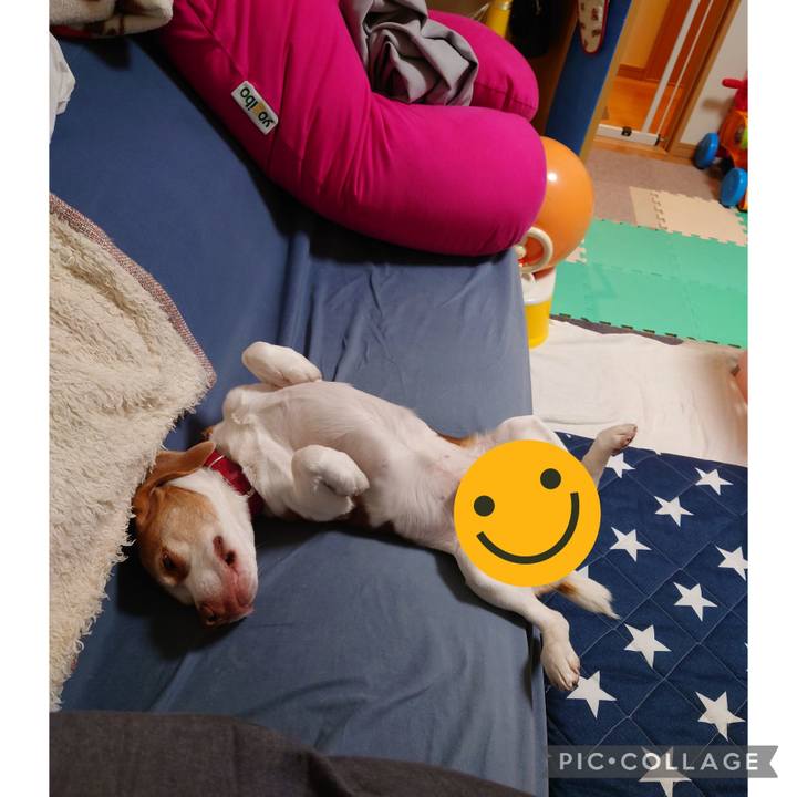 2c7568be c2b2 4b8c a3f9 78183b8e4f53 1705220790908