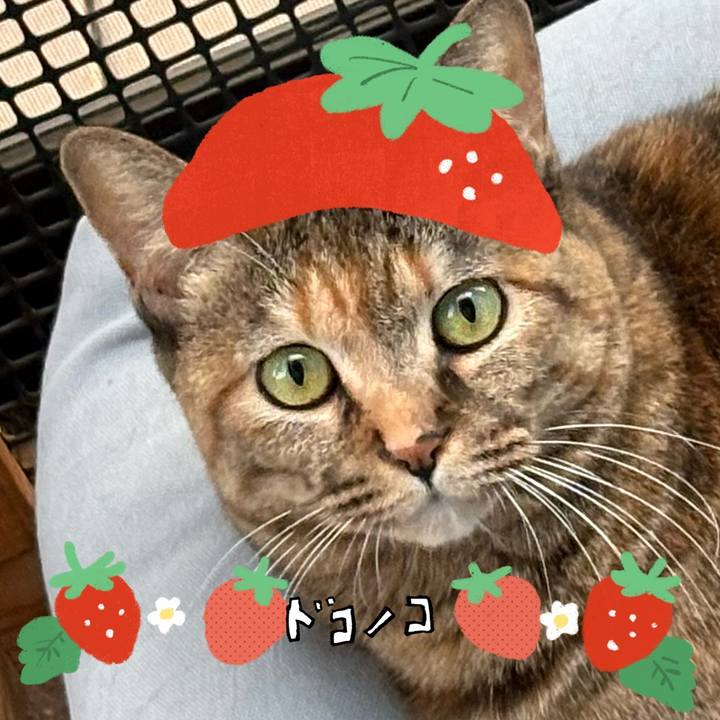 2c756da7 5216 4edb 8680 a6f1acaff033 1775305972127