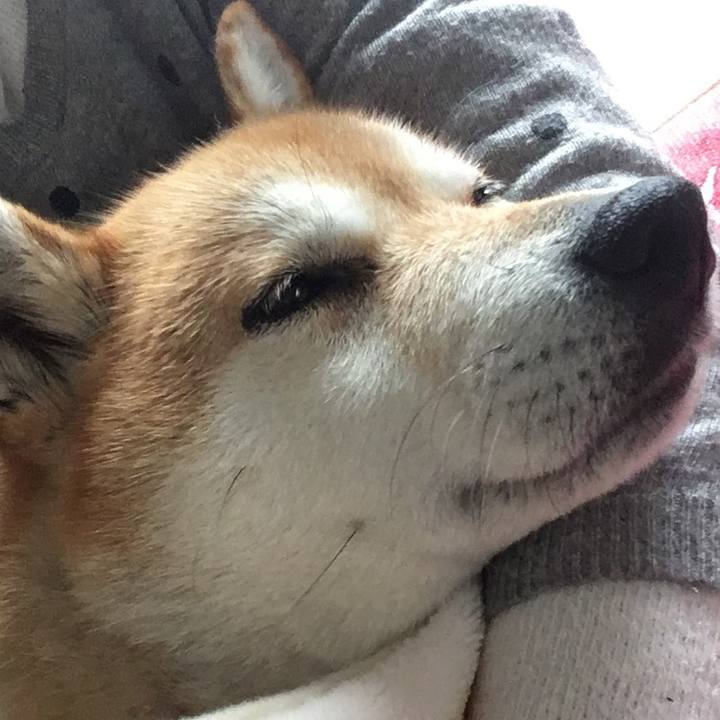 2c7574bd 17bc 4e4e b581 fe7a47f4d0ce 1611368887094