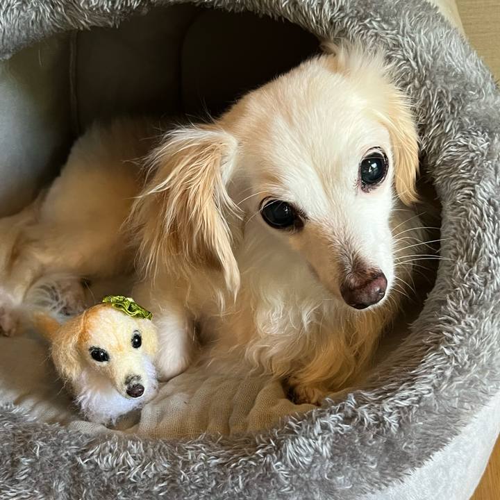 2c7598c8 f5d6 4b73 a7d4 cbd12956badd 1721566031242