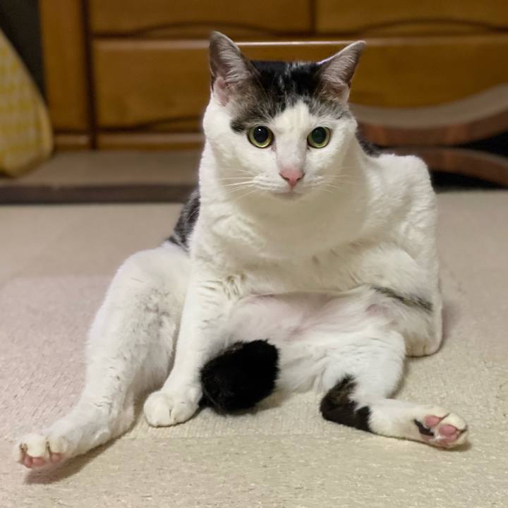 2c761fcc 9d8d 4e10 9d94 0d081589c4cb 1773581108741