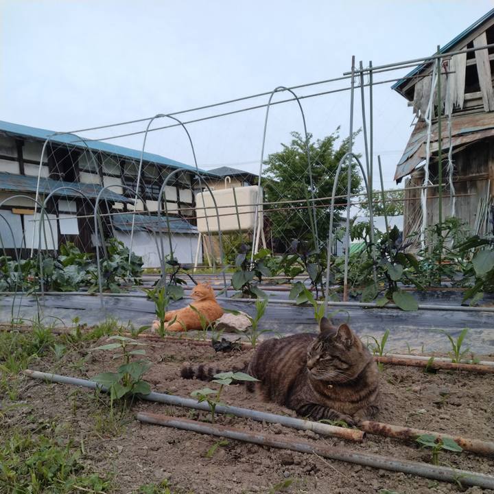 2c763340 038a 4b86 88e4 1fb2e0a16b9c 1717665246180