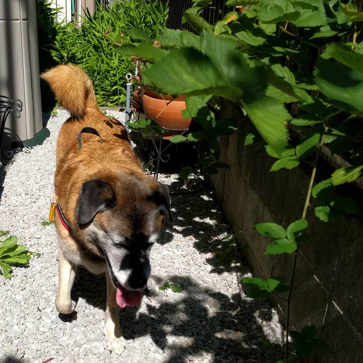 2c76499b 95fd 4eb9 82f9 ec130787553a 1531093839174