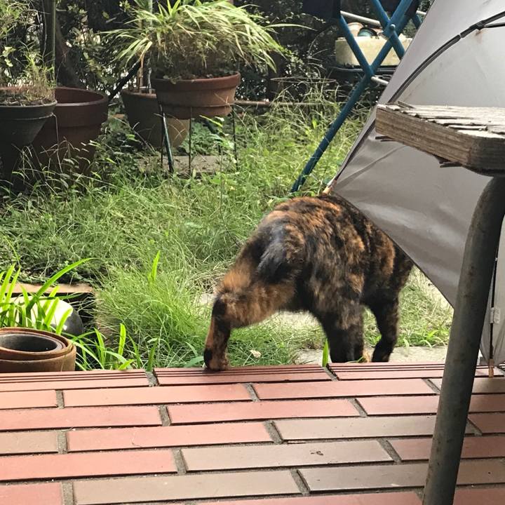 2c765734 8435 4b7e 836b d498faecf49d 1572227852882