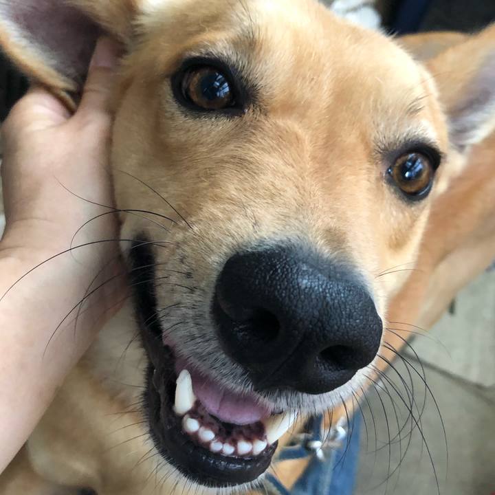 2c768481 eac5 4811 aad3 a3d620a2693b 1564370296737