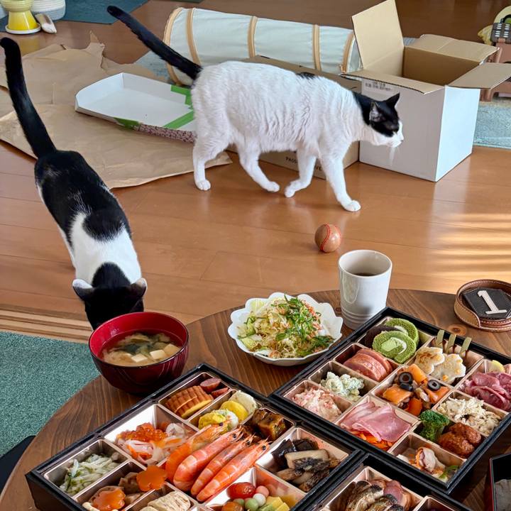 2c76b441 7921 4de6 a407 c884eb30e70d 1767316244446