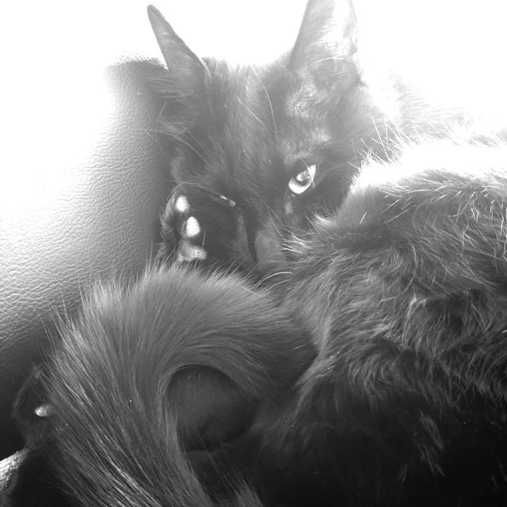 2c76b88e 27c1 4fbe b91d 3fbad08e6190 1710722119148