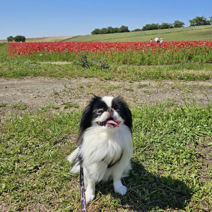 2c7720e4 739b 4b0b 8f88 11beff4c48c0 1715683743304