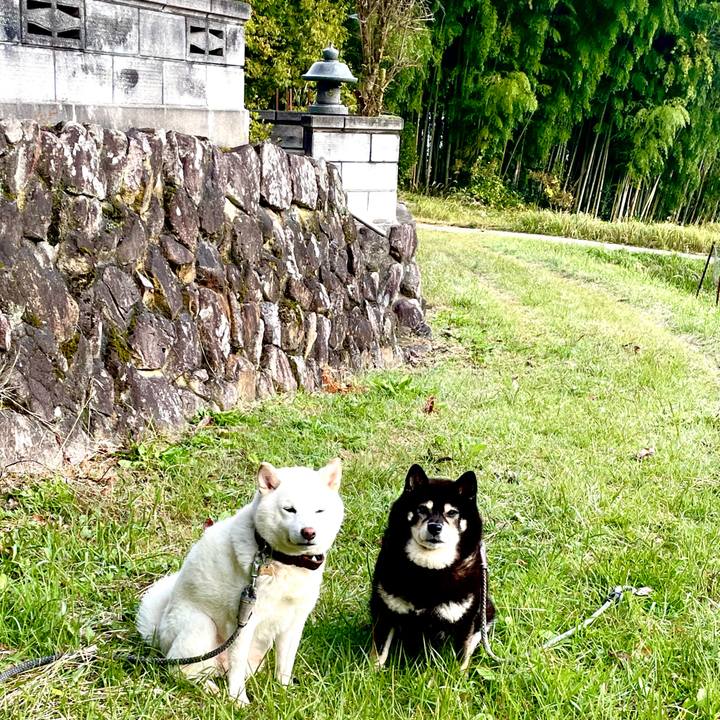 2c772f14 629e 4ad5 ab94 f2180a181378 1700006720998