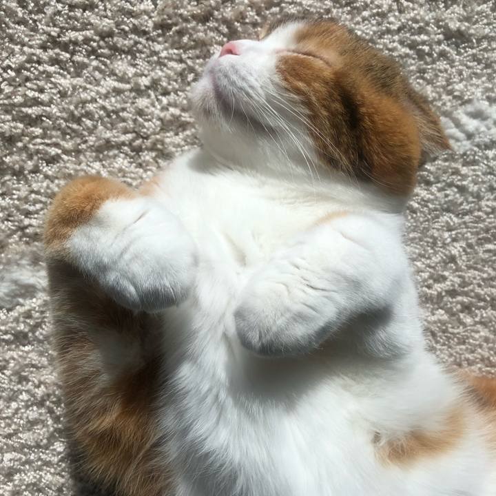 2c773a16 ce2f 4389 ab2b 15896bf28061 1549009580561