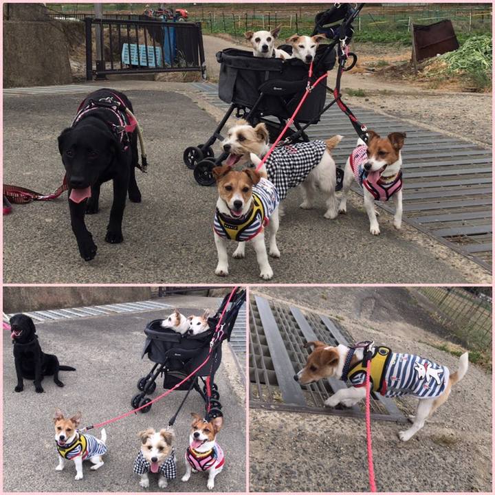 2c775379 bff5 4fe1 a6d3 c517bae8f700 1558347877398