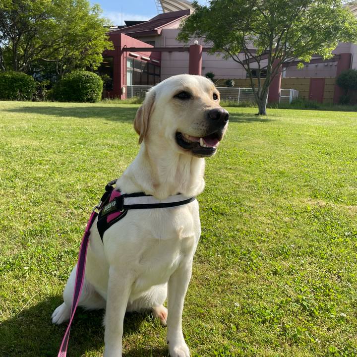 2c775572 f469 4be1 b320 f2487b85a3d6 1652528324110