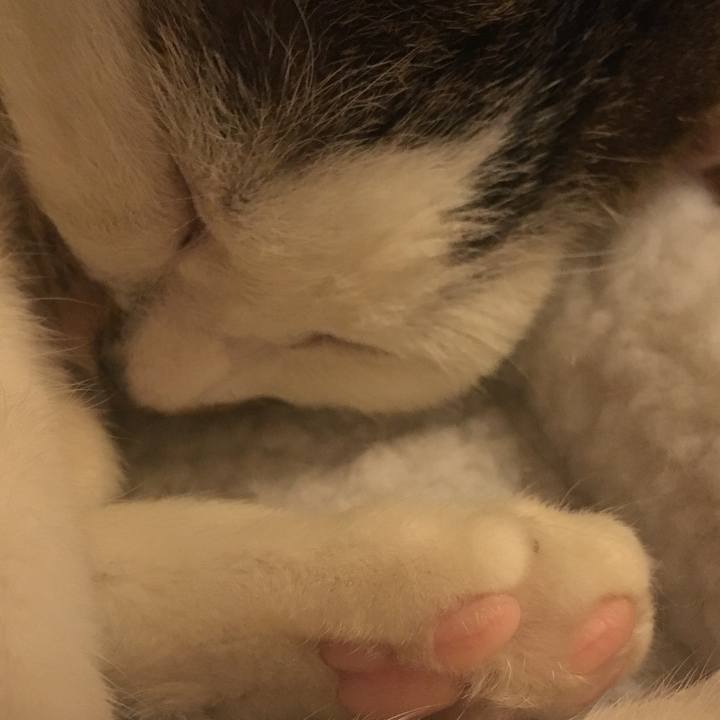 2c775f05 25af 4566 9baf 2ae999ace0c9 1516174984177