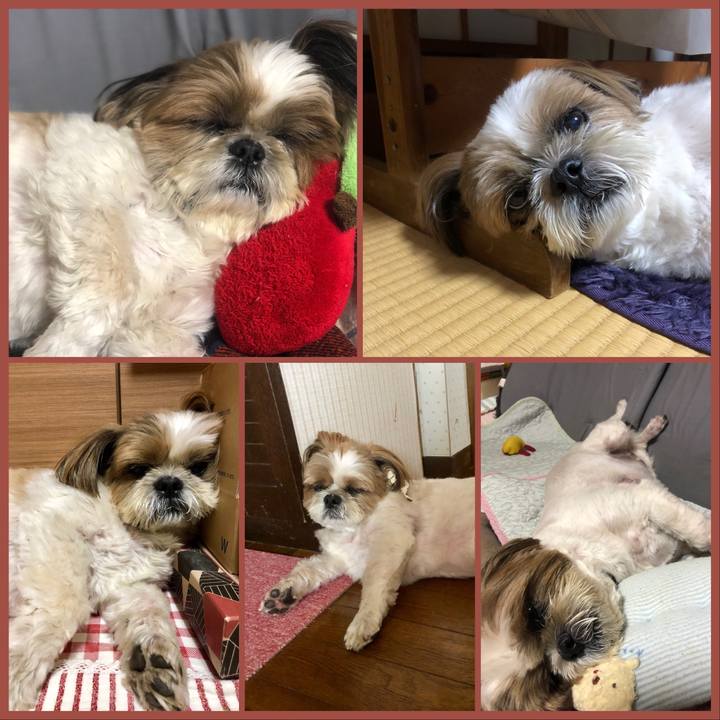 2c776d11 cbbe 47d7 ae55 975670e0d275 1569671549536