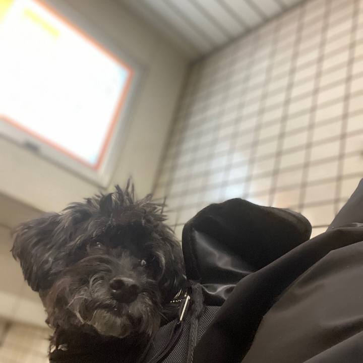 2c777293 3e97 4d20 b2ea 3bde6c2fa241 1583256738462