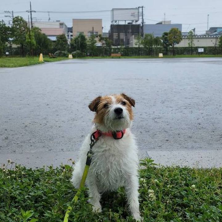 2c777537 c52b 480e af54 75eabf560dc7 1685668982598