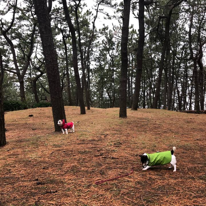 2c779c66 c4c3 46ce a74f f964c2feaf7b 1548720355131