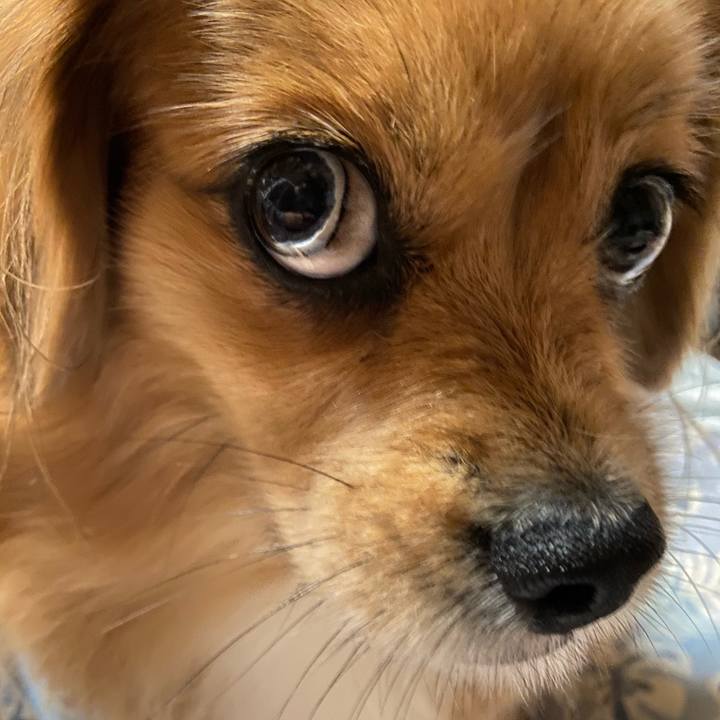 2c77a8ec e7bb 4272 a3e3 8a7f0e7b7463 1605821301646