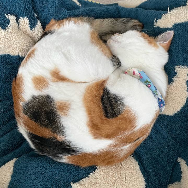 2c77dec9 3a64 4dc9 842e 1461e0500382 1697338785909