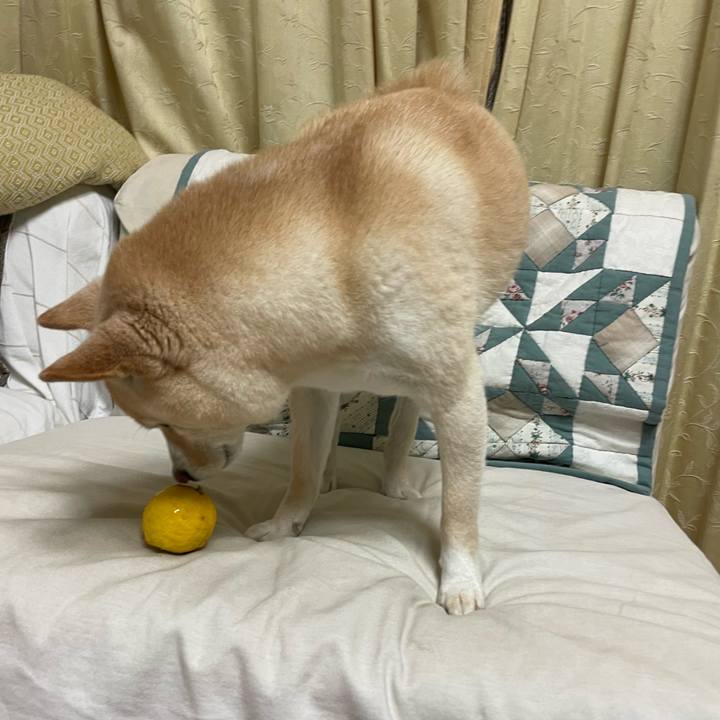 2c78139e 2121 47ac 83c9 bb45f9f679eb 1671698627958