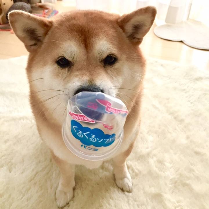 2c7890ee be81 4aa1 a635 4c92063c706e 1559538823338