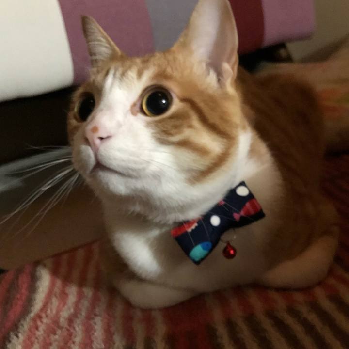 2c78a671 3a66 4a8f be99 37ec5b83e862 1520253201733