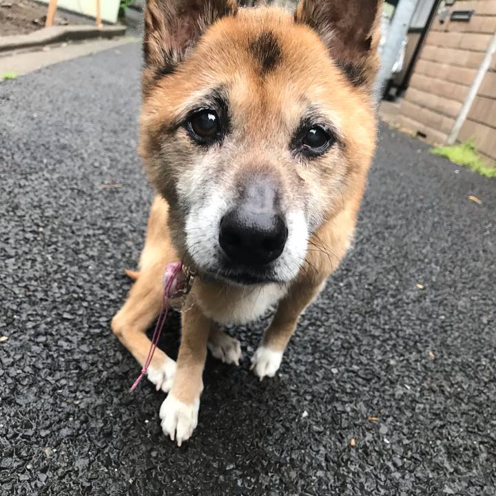 2c78b997 c977 4fbf 82a7 b314e7778221 1556231155979