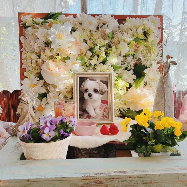 2c78bad2 cd29 41cf 8696 387644ff3f4d 1768617725858