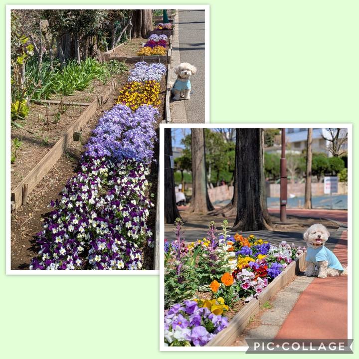 2c78e30f de45 499d 9fc4 fd64ad487681 1774097440814